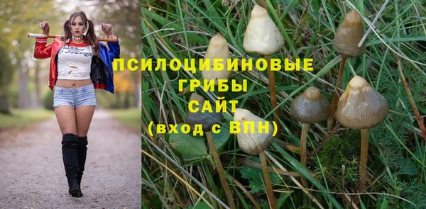 Альфа ПВП Иннополис