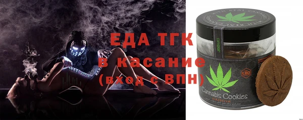 стаф Инта