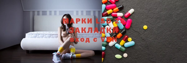 стаф Инта
