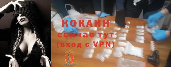 гашик Инсар