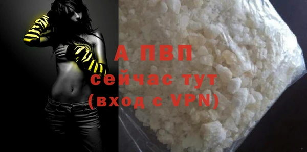стаф Инта
