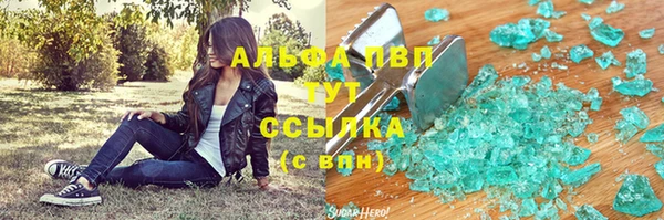гашик Инсар