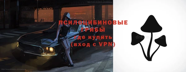 гашик Инсар