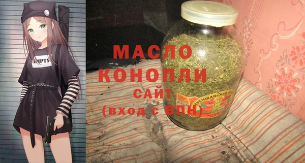 стаф Инта