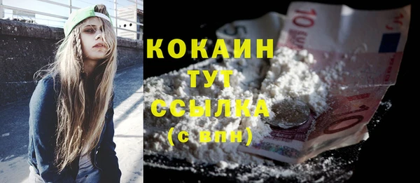 МДПВ Каменногорск