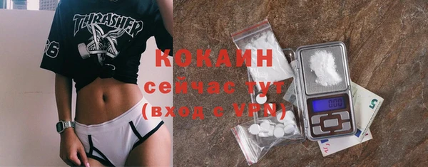стаф Инта