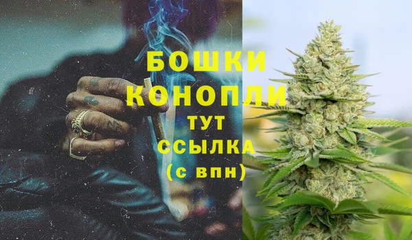 ГАЛЛЮЦИНОГЕННЫЕ ГРИБЫ Кущёвская