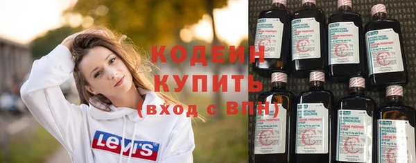 гашик Инсар